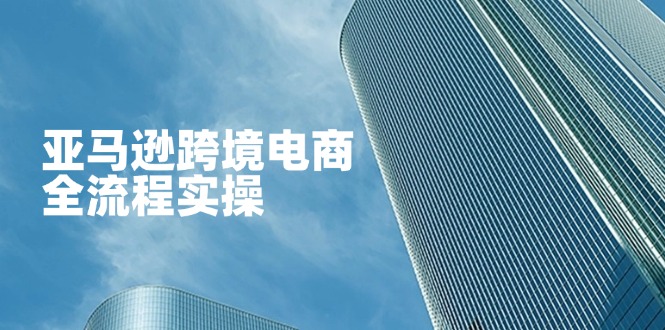 亚马逊跨境电商全流程实操，教你从零开始，掌握店铺运营与广告技巧-汇流