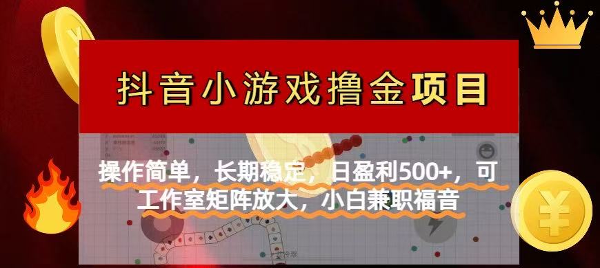 【抖音小游戏发行人计划项目】操作简单，长期稳定，日盈利500+，可工作...-汇流