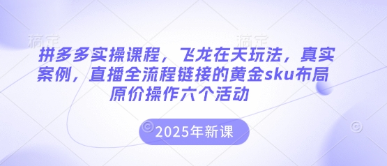 拼多多实操课程，飞龙在天玩法，真实案例，直播全流程链接的黄金sku布局原价操作六个活动-汇流
