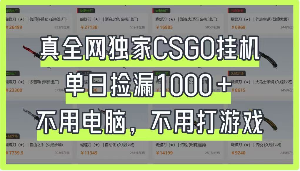 真全网独家CSGO挂机，单日捡漏1000+，不用电脑，不用养号-汇流