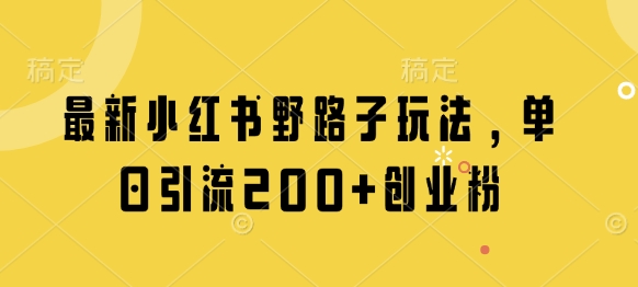 最新小红书野路子玩法，单日引流200+创业粉-汇流
