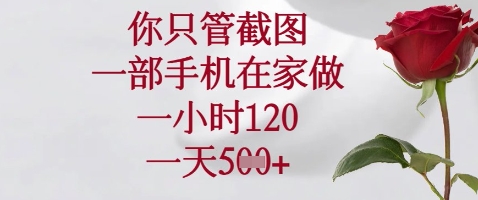 你只管截图，一部手机在家做，苹果安卓都可以，一小时120，一天5张+【揭秘】-汇流