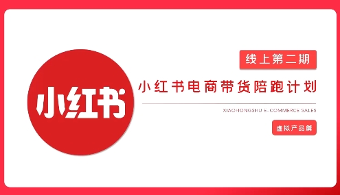2025小红书虚拟电商实战课，从0到1打造无货源店铺，AI+爆款笔记轻松变现-汇流