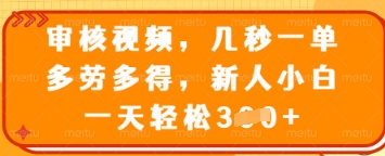 审核视频，几秒一单，多劳多得，新人小白一天轻松3张【揭秘】-汇流