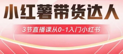 小红薯达人带货启航计划，3节直播课从0-1入门小红书-汇流