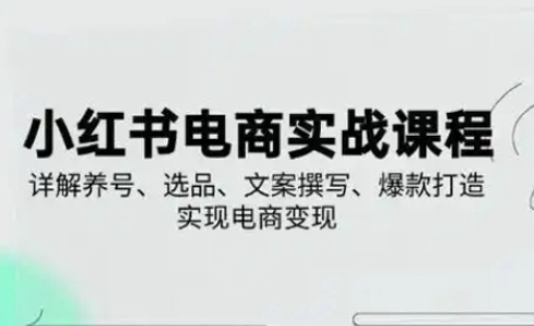 小红书从0-1实操课(2023-2025)，详解养号、选品、文案撰写、爆款打造实现电商变现-汇流