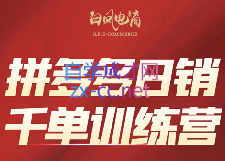 白凤电商·拼多多日销千单训练营(更新3月)-汇流