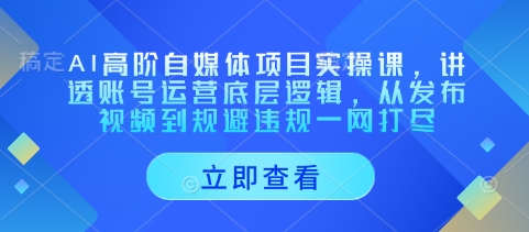 AI高阶自媒体项目实操课，讲透账号运营底层逻辑，从发布视频到规避违规一网打尽-汇流