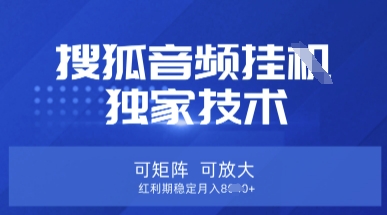 【搜狐音频挂G】独家技术，可矩阵可放大，红利期稳定月入8k【揭秘】-汇流