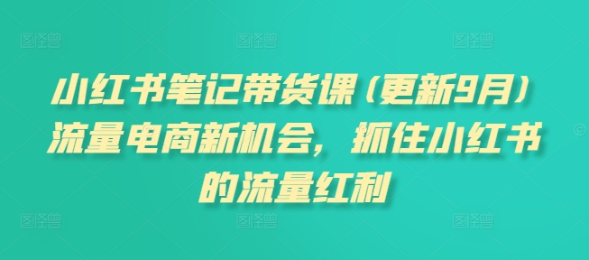 小红书笔记带货课(更新25年3月)流量电商新机会，抓住小红书的流量红利-汇流