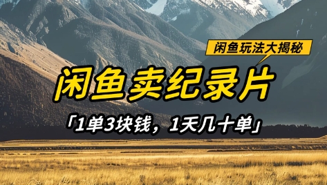闲鱼卖纪录片1单3块钱，1天几十单，项目稳定有潜力-汇流