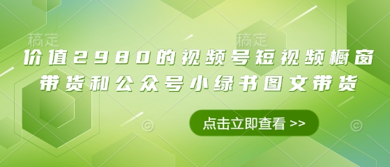 价值2980的视频号短视频橱窗带货和公众号小绿书图文带货-汇流