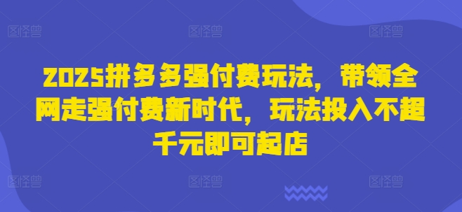 2025拼多多强付费玩法，带领全网走强付费新时代，玩法投入不超千元即可起店-汇流