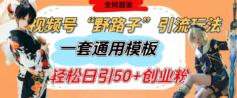 视频号“野路子”玩法，评论区疯狂截流，一套模板单日单号引流50+创业粉-汇流
