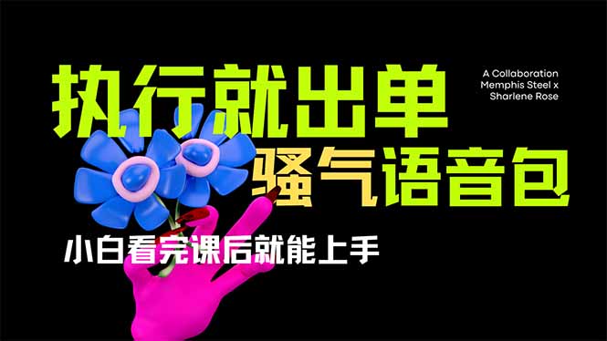 爆火全网的开车导航骚气语音包,只要执行就出单，小白看完课程就能实操…-汇流