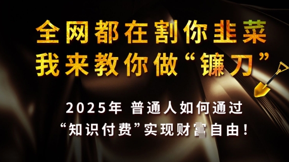 全网都在割你韭菜，我来教你做镰刀，2025普通人如何通过知识付费，实现财F自由【揭秘】-汇流
